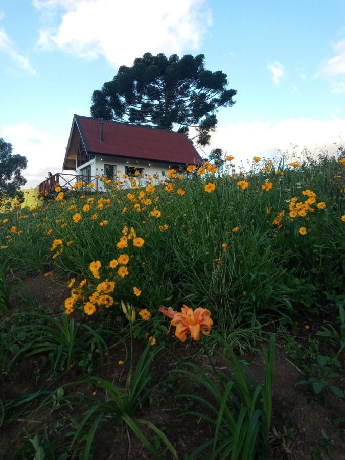 Chale Com Vidros E Hidromassagem Villa เซาเบนโตโดซาปูไค ภายนอก รูปภาพ